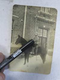 Hevonen + rakuuna -valokuva