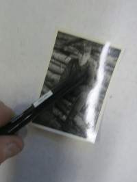 Krivi 1.10.1943 -valokuva