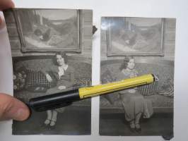 Taistelevat metsot - siskot? -valokuvat 2 kpl