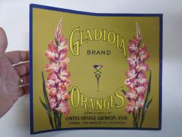 Gladiola Brand Oranges -etiketti / hedelmä- / vihanneslaatikon päätypainate