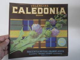 Valencias Caledonia -etiketti / hedelmä- / vihanneslaatikon päätypainate
